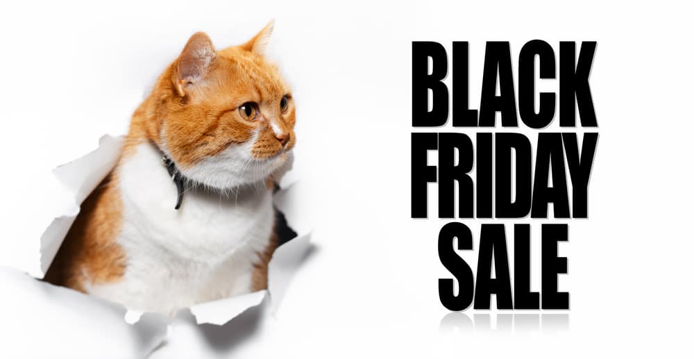 Cat black outlet friday