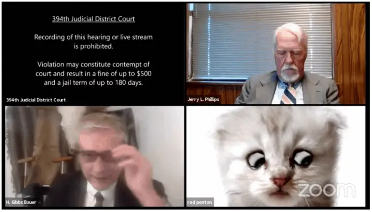 Lawyer Gets Stuck In Cat Filter Mode During Zoom Trial