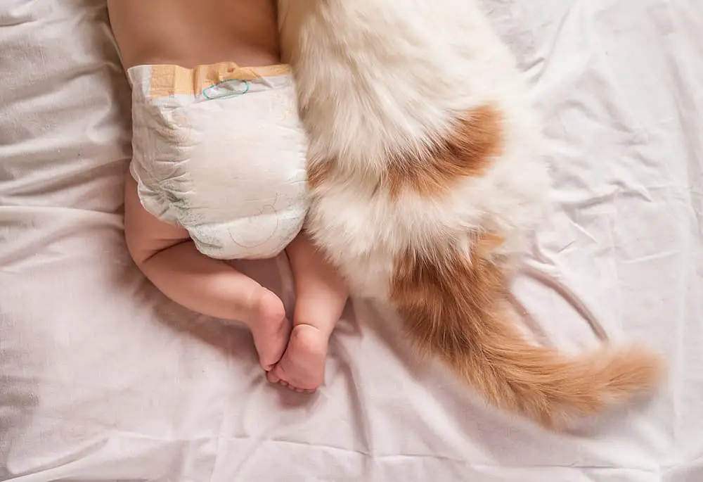 Baby,In,Diaper,And,Cat,Sleeping,Together