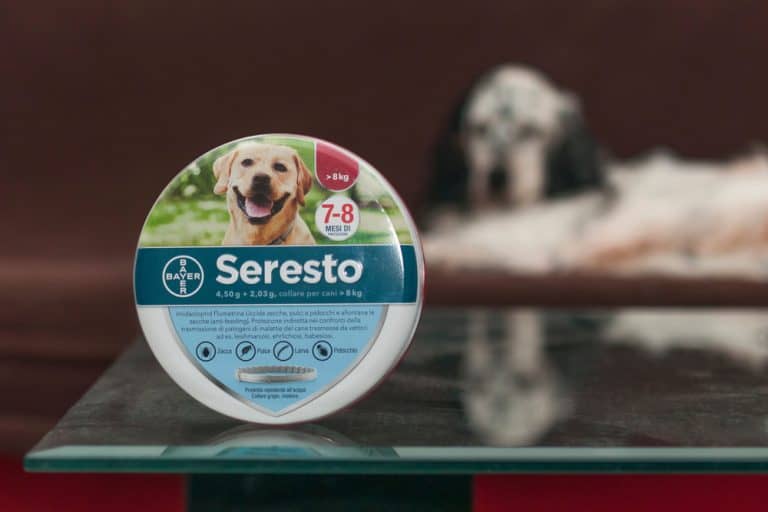 Popular Flea and Tick Collar Linked to Thousands of Pet Deaths, Illnesses