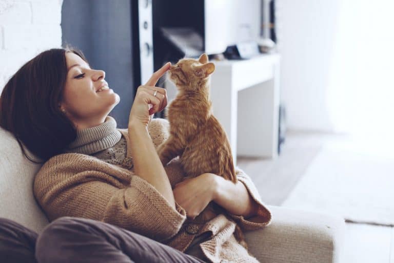 5 Scientific Reasons Why  Cats Make You Happy