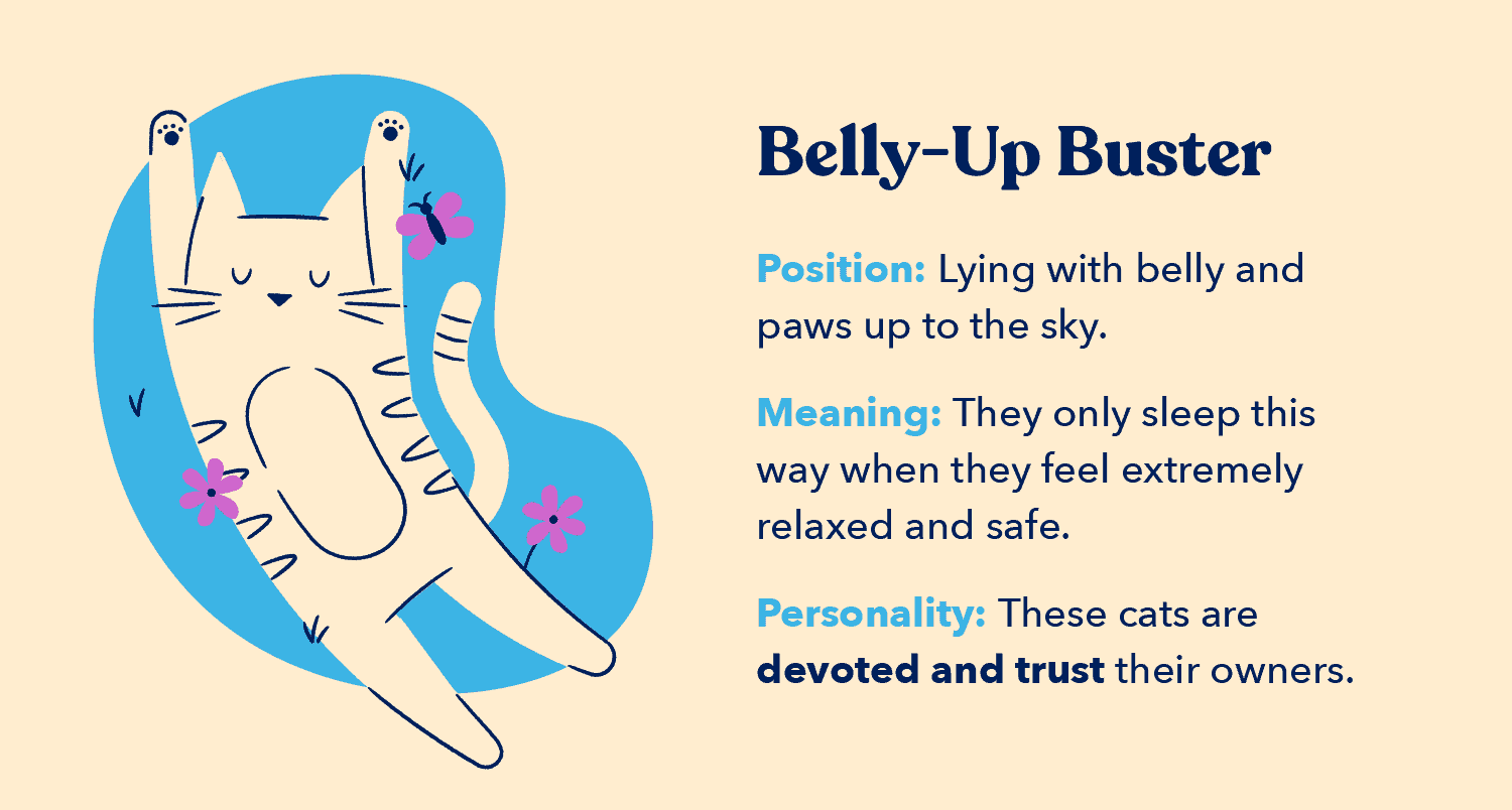 Belly Up by Eva Darrows Belly Up by Eva Darrows