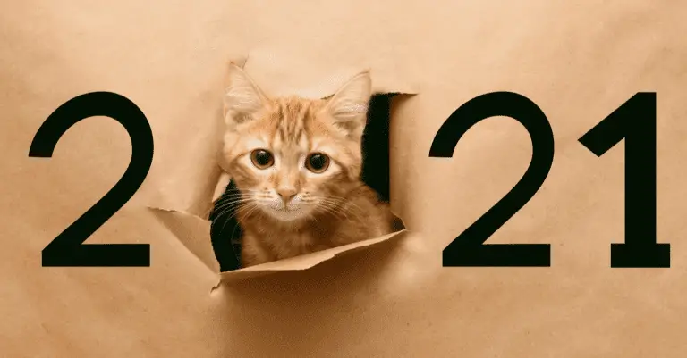 Rover Reveals the Most Popular Cat Names and Trends of 2021