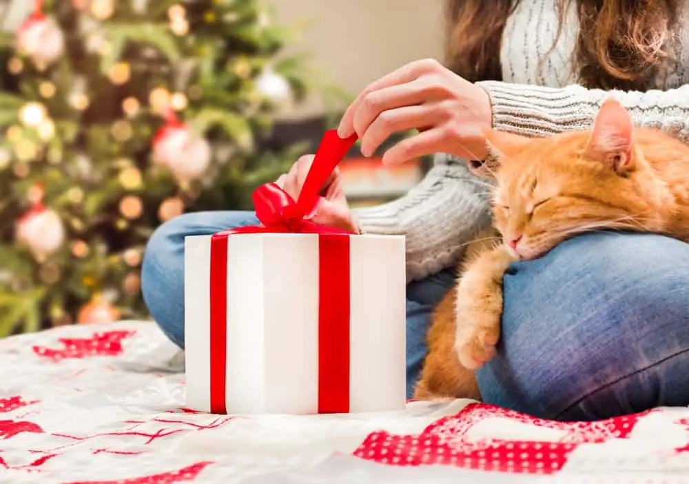 Woman,Sitting,On,Bed,With,Ginger,Cat,Opens,Christmas,Gifts