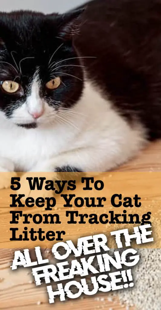 5 Ways to Keep Litter From Tracking All Over the Freaking House!