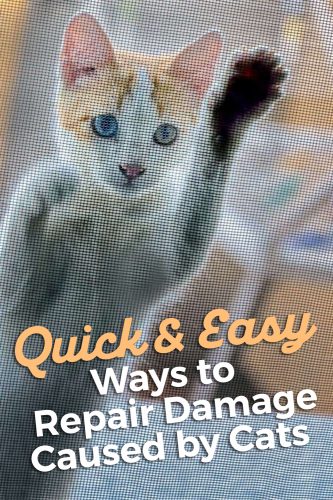 repair damange from cats