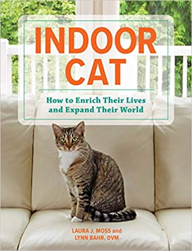 indoor-cat