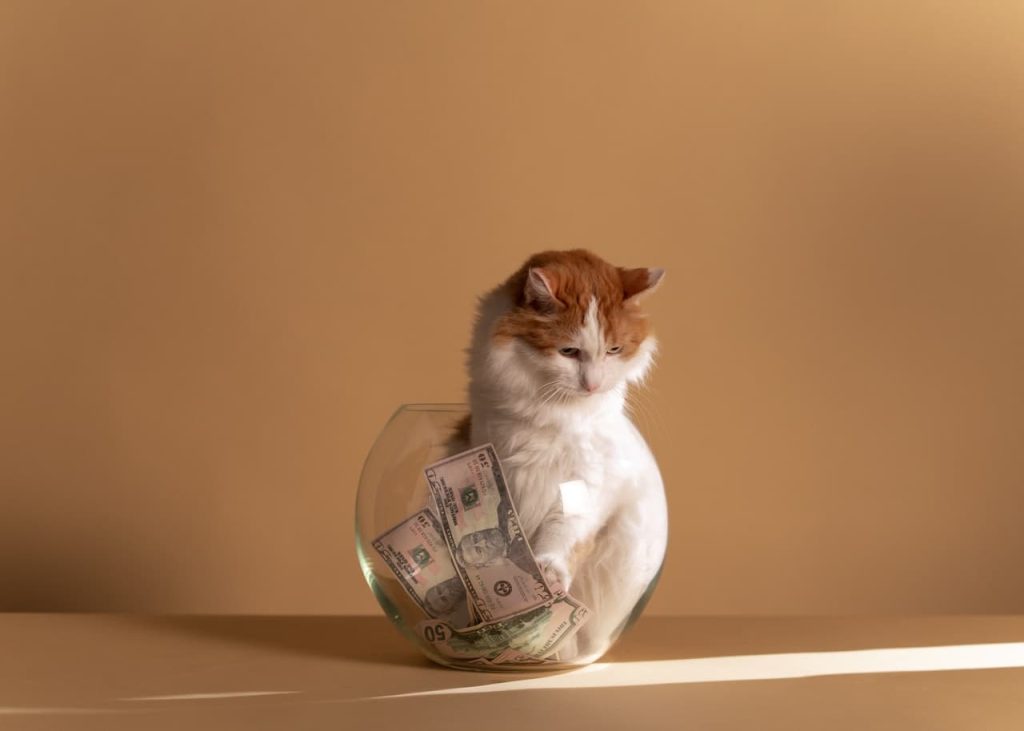 claim your foster cat on your taxes