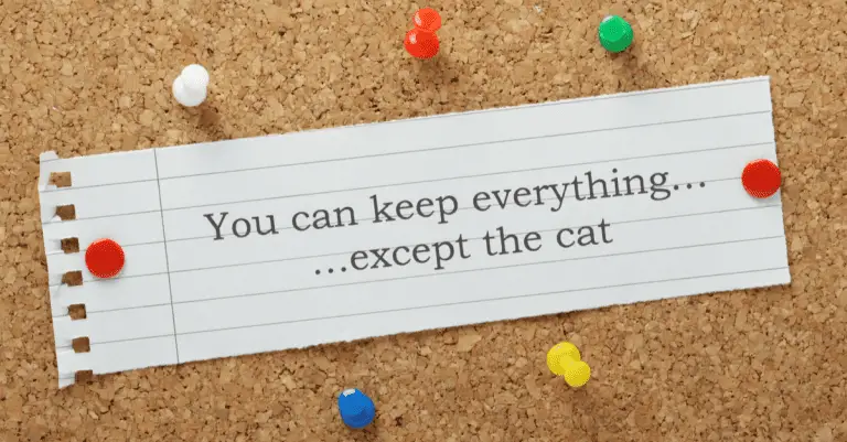 Who Keeps the Cat After a Divorce?