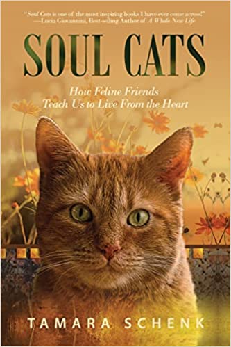 soul-cats
