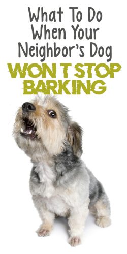 What To Do When Your Neighbor's Dog Won't Stop Barking - The Catington Post