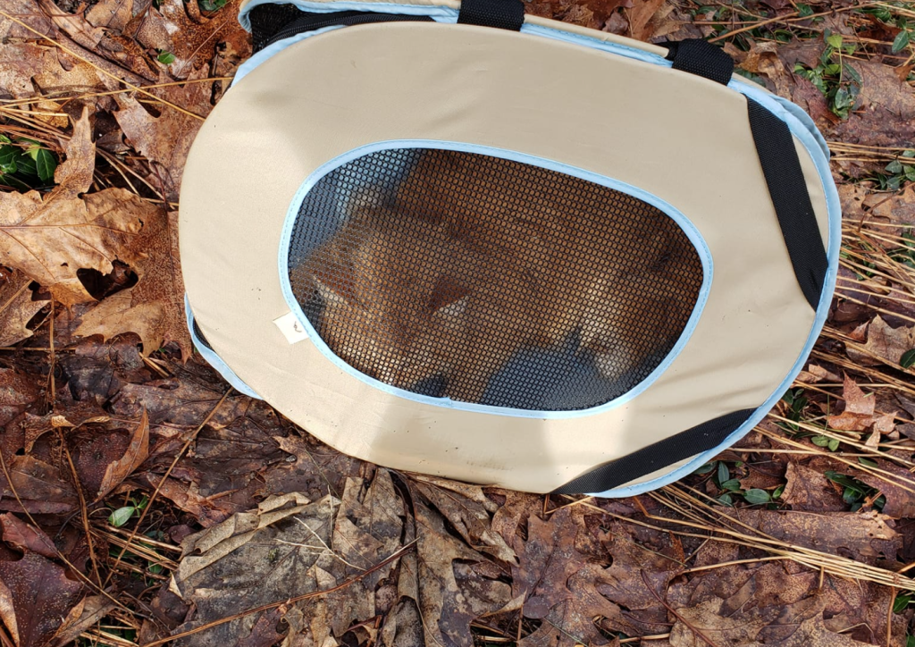 abandoned cat zipped into carrier