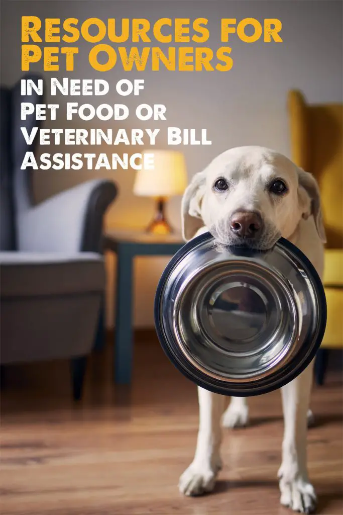 help with vet bills