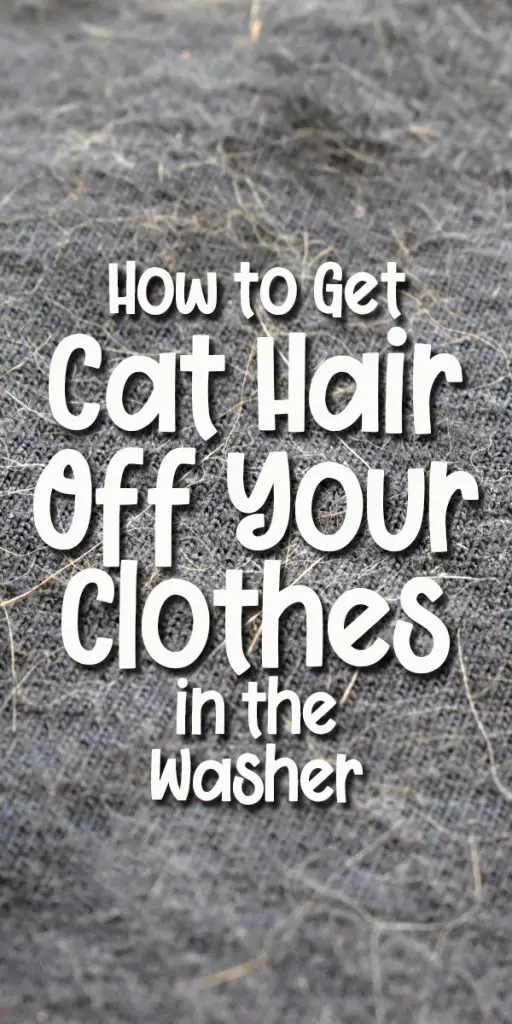How to Get Cat Hair off Your Clothes in The Washing Machine