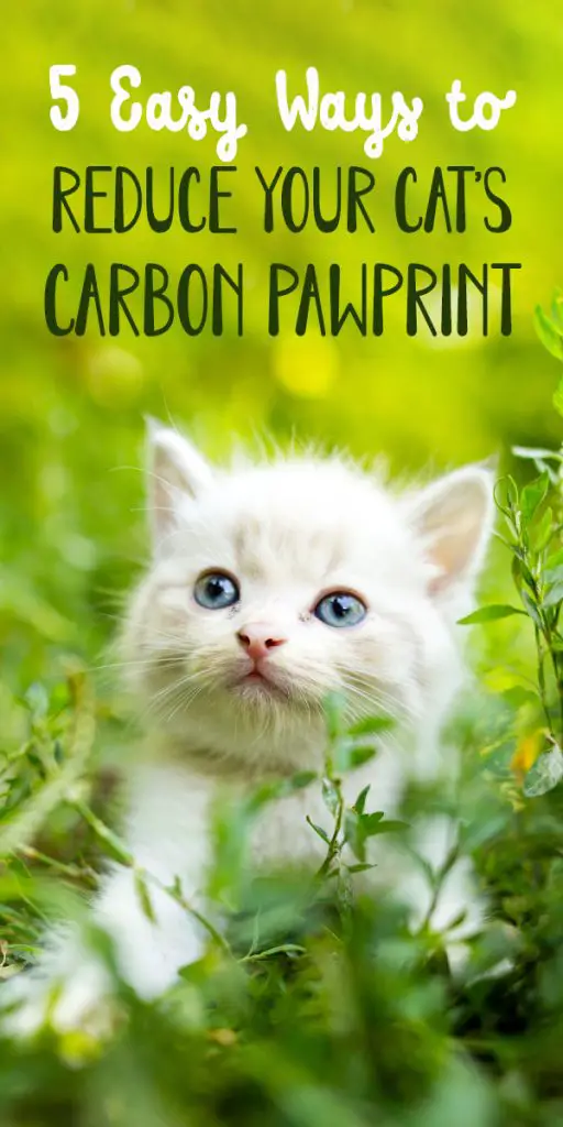 5 easy ways to reduce your cat's carbon pawprint on earth day pinterest image