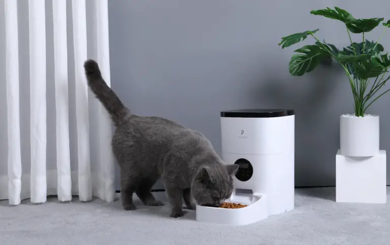 automatic cat feeder