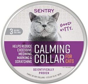 calming collar