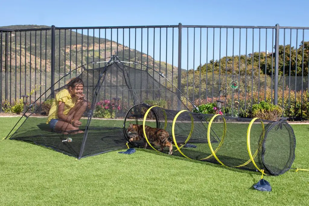 prime day outdoor cat enclosure