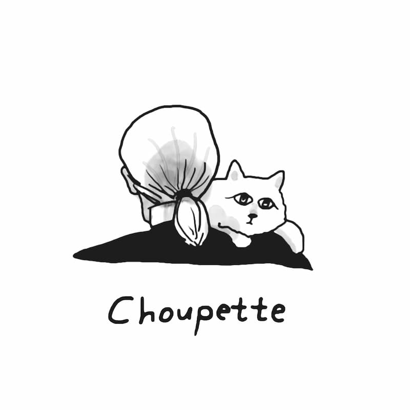 Choupette