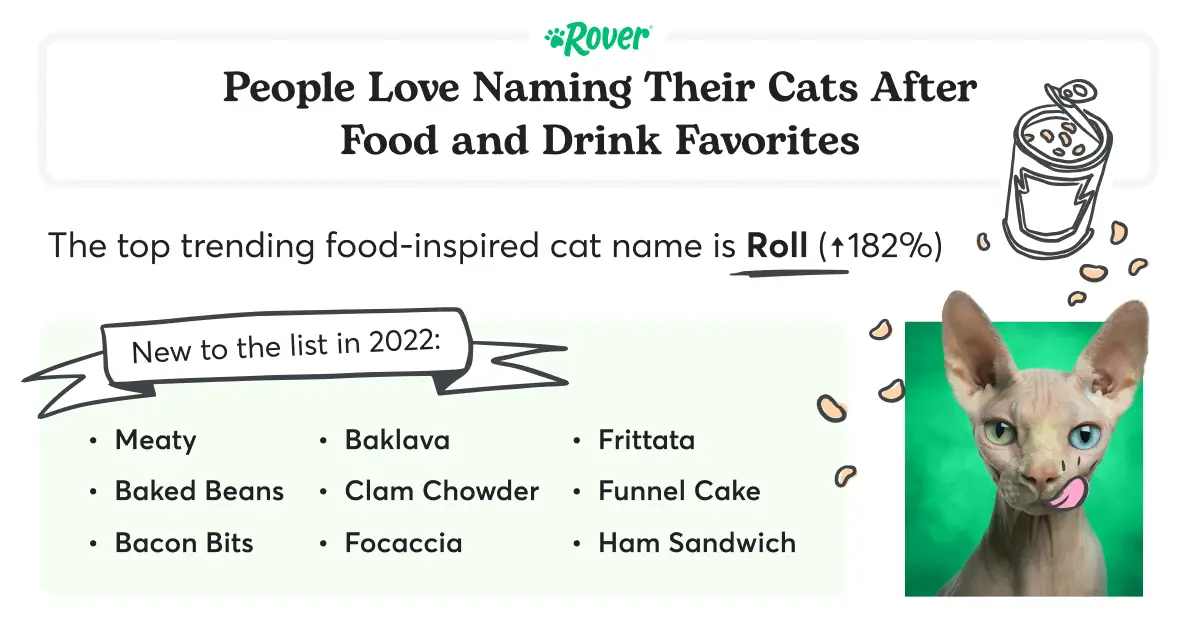 Credit-Rover_Cat-Food-Trends