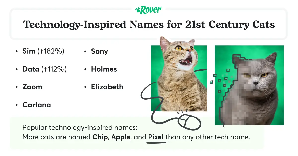 Credit-Rover_Cat-Tech-Trends