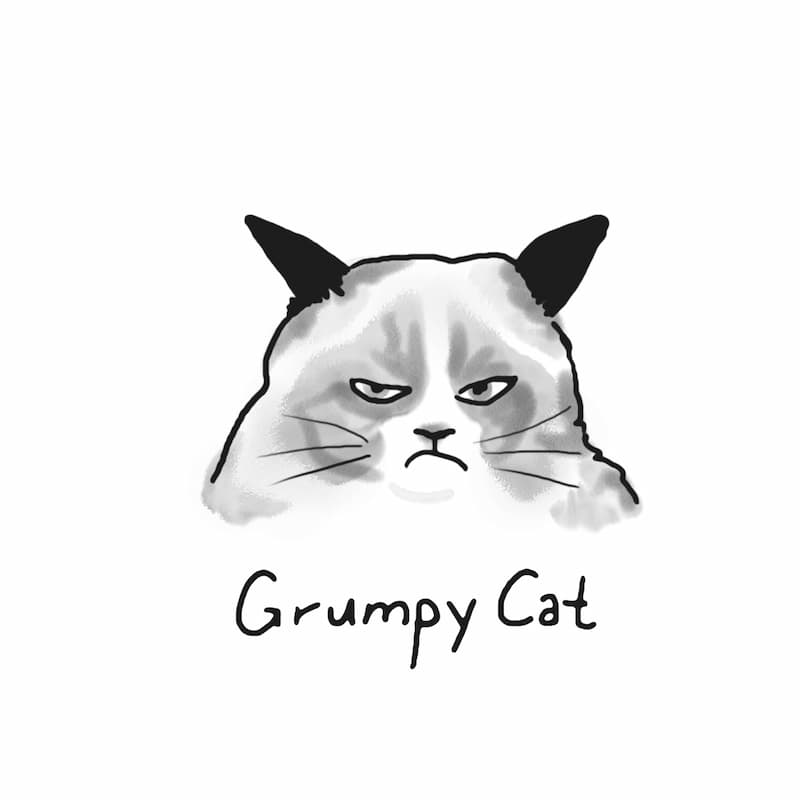 Grumpy-the-cat