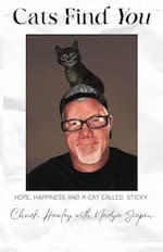 cats find you, memoir for cat lovers