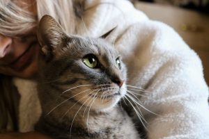 How Cats Help You Cope With Grief