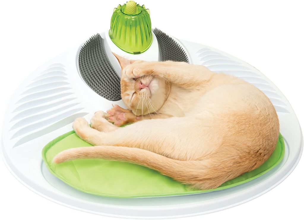 The Catit Senses 2.0 Wellness Center is perfect for senior cats!