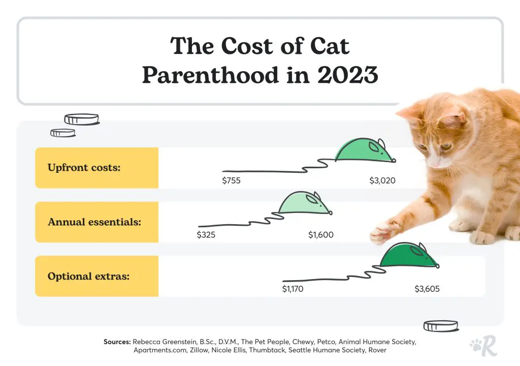 the cost of cat parenthood