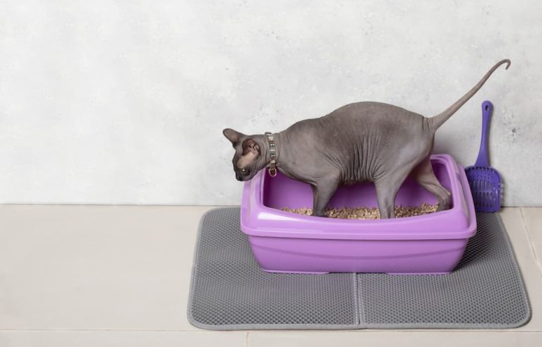 litter mats