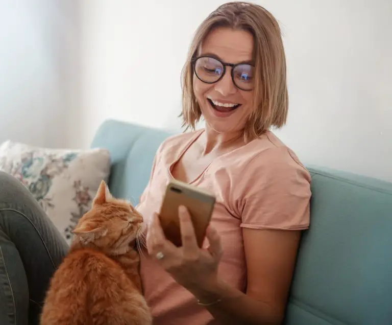 Paw-Some Cat Products You Won’t Believe You Can Find On Temu!