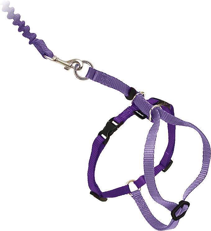 petsafe-harness