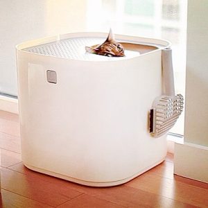 The Advantages of Using a Top-Entry Litter Box for Cats