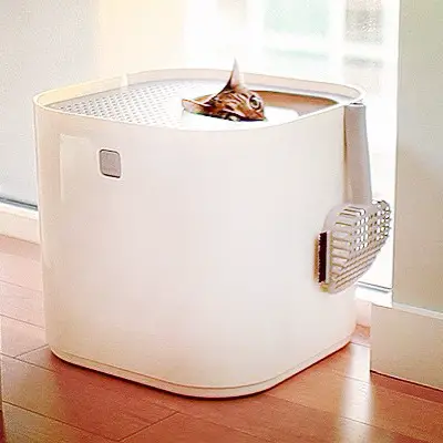 top-entry litter box