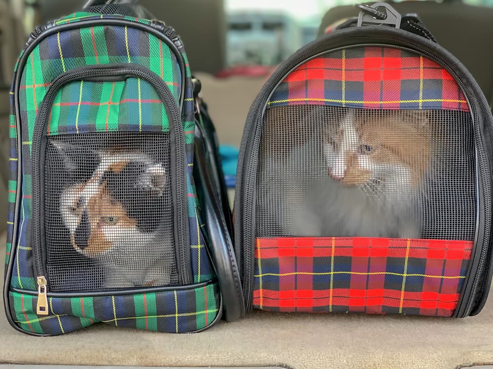 soft cat carriers