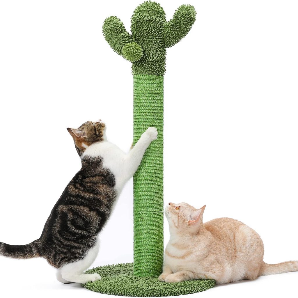 prime day deals for cats