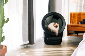 Litter-Robot 4 Review: Is It Worth the Investment?