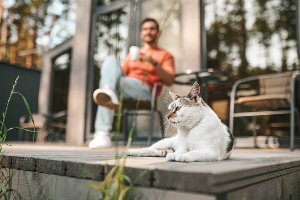 cat-friendly outdoor spaces can include places for you and kitty to spend time together