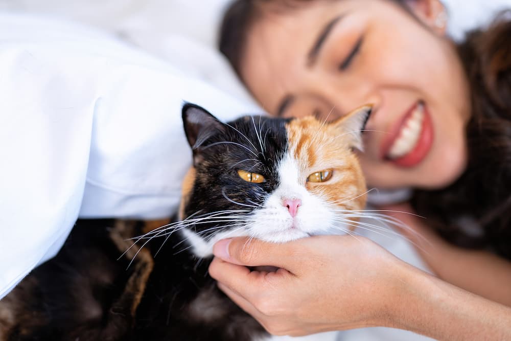 Cat Ownership and Mental Health