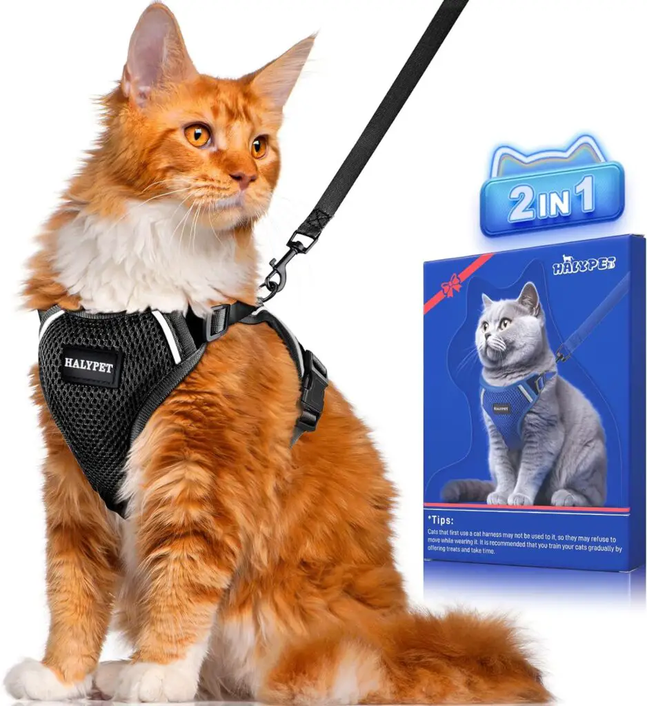 cat harness and leash set 46% off on prime day