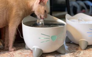 Review: Catit PIXI Smart Products Make Life Easier (and Cuter!) for Cat Parents