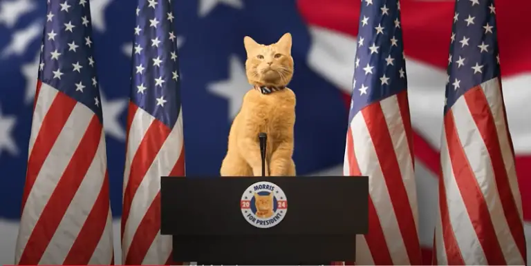 Morris the Cat for President 2024. Could Your Pet Be His VP?