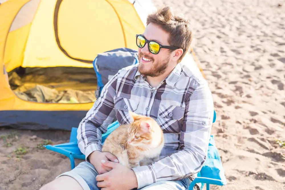 beach vacation with cat