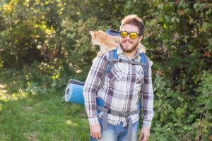The Best Adventure Gear for Pets