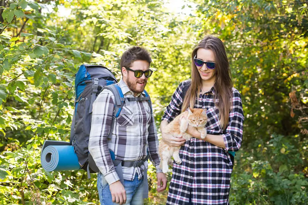 hiking with cat