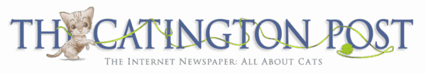 The Catington Post