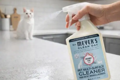 Person spraying pet-safe cleaner on countertop with cat nearby.